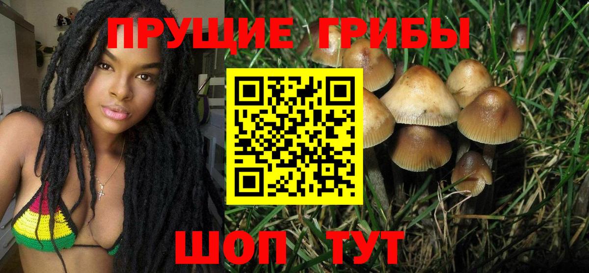 Псилоцибиновые грибы мухоморы Чайковский