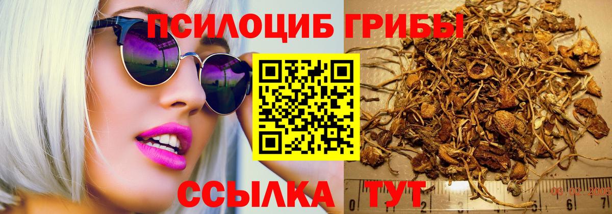 Галлюциногенные грибы ЛСД  Галлюциногенные грибы Psilocybine cubensis  Вход с VPN  Чайковский 