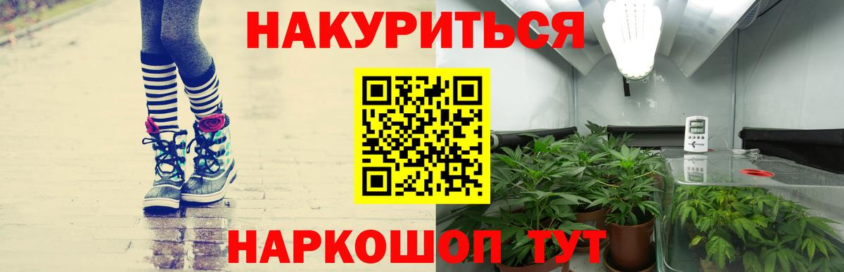 Канабис планчик Чайковский